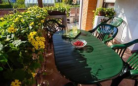 Apartment Sovdat