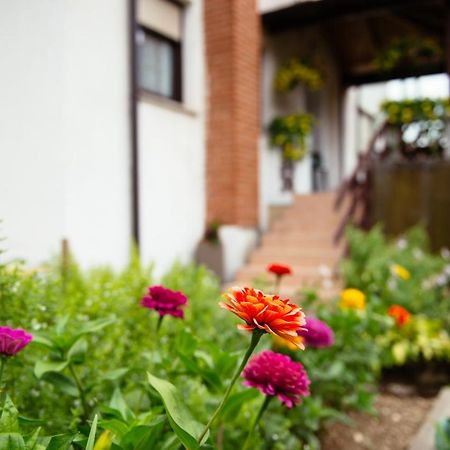 Apartment Sovdat Tolmin Exterior foto
